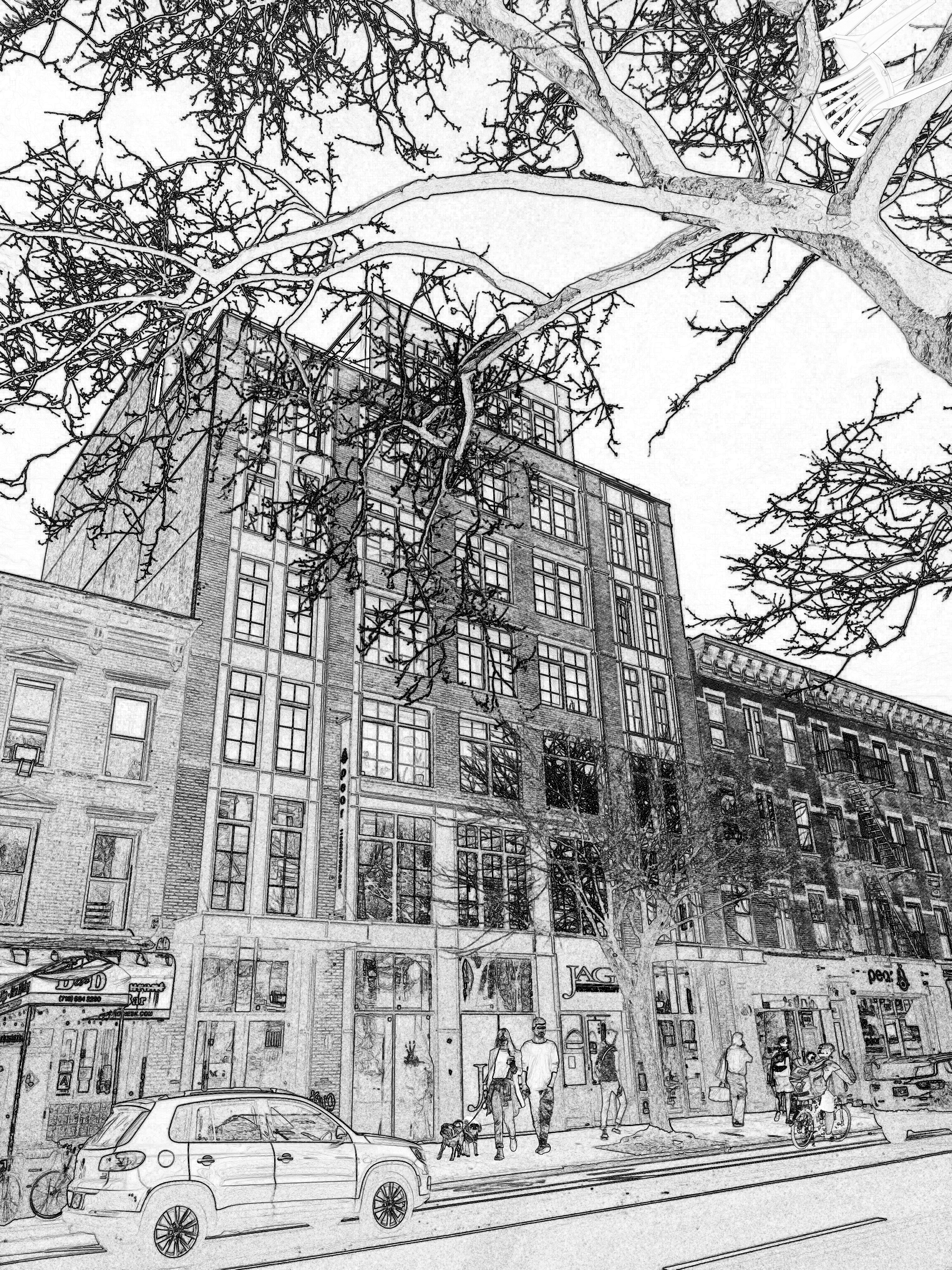 Bedford-Stuyvesant, Brooklyn — Yak Management property